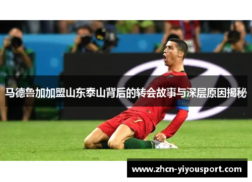 马德鲁加加盟山东泰山背后的转会故事与深层原因揭秘