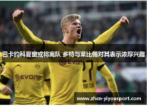 巴卡约科夏窗或将离队 多特与莱比锡对其表示浓厚兴趣
