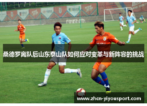 桑德罗离队后山东泰山队如何应对变革与新阵容的挑战