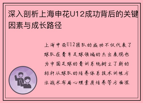 深入剖析上海申花U12成功背后的关键因素与成长路径