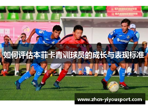 如何评估本菲卡青训球员的成长与表现标准