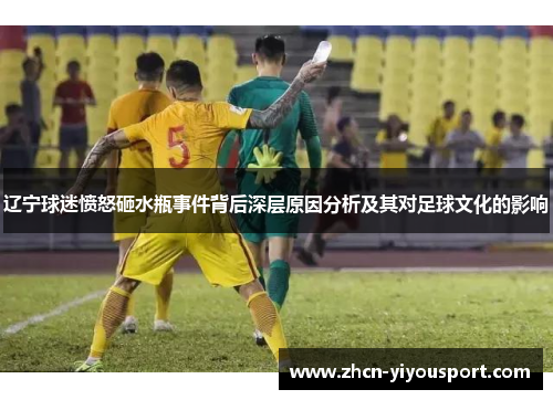 辽宁球迷愤怒砸水瓶事件背后深层原因分析及其对足球文化的影响